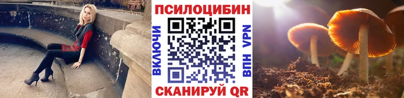 Псилоцибиновые грибы мухоморы  где найти наркотики  Сураж 